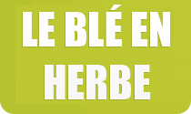 LE BLÉ EN HERBE - SITE SEUTIN||LE BLÉ EN HERBE - SITE SEUTIN