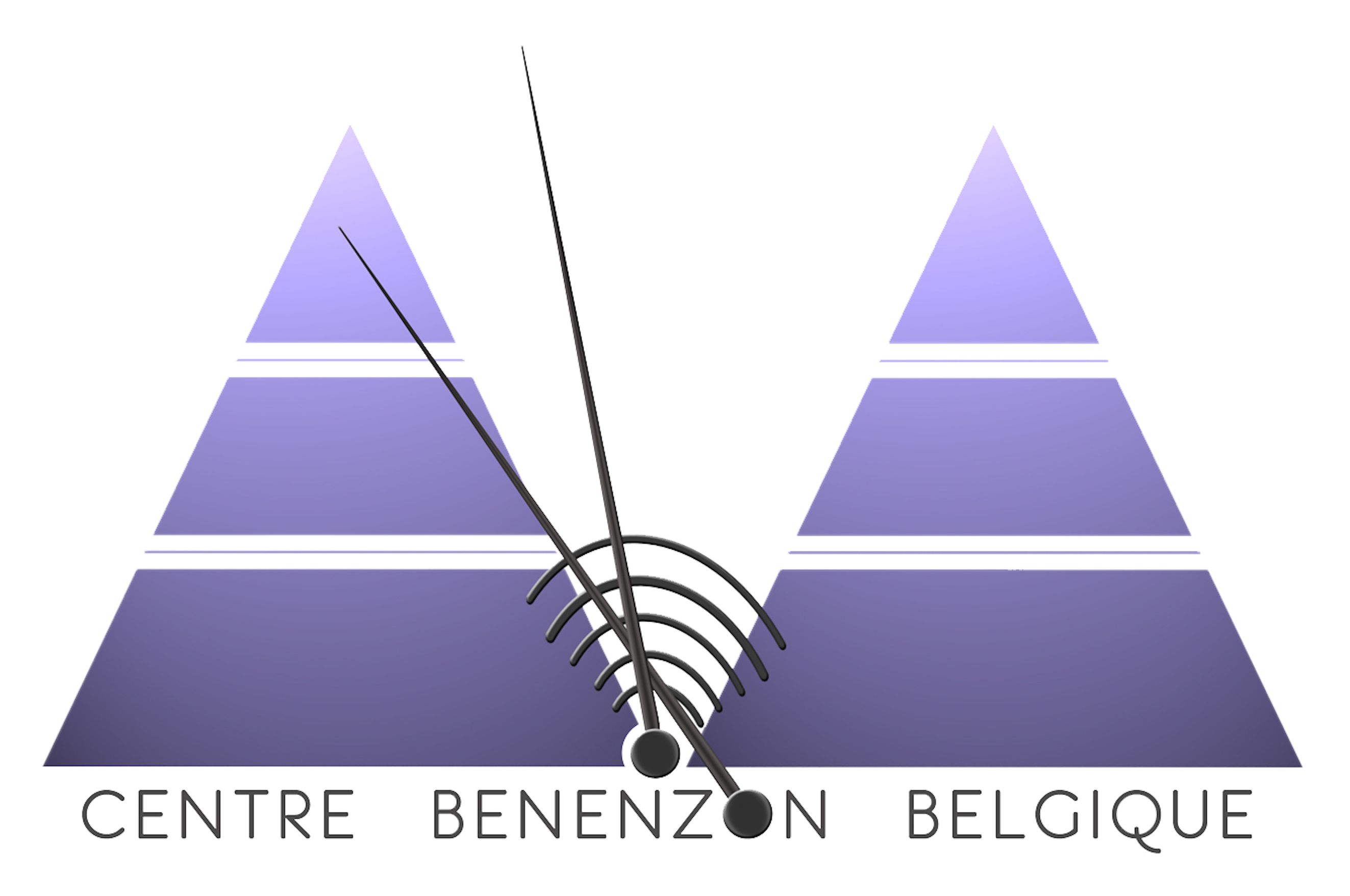 CENTRE BENENZON BELGIQUE||CENTRE BENENZON BELGIQUE